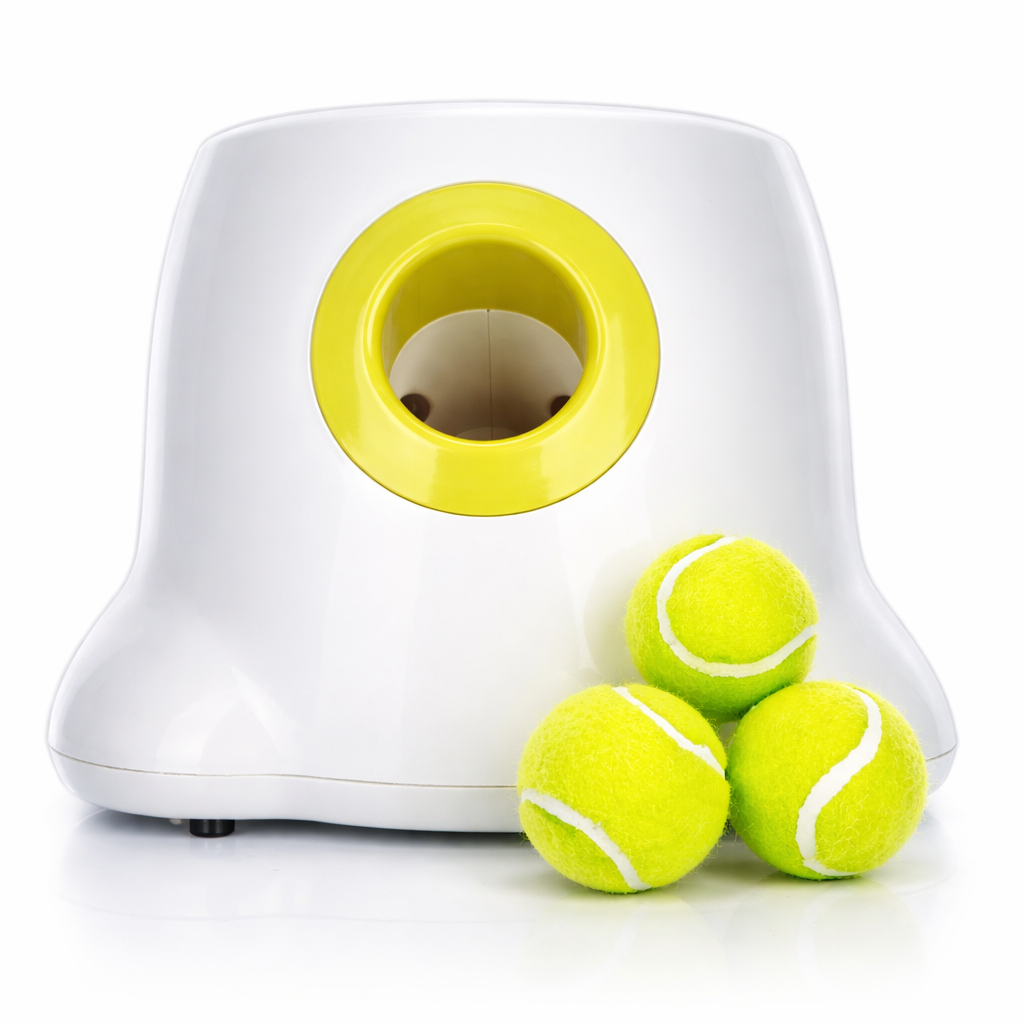 Dog Automatic Ball Launcher